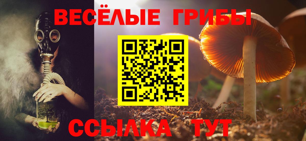 Галлюциногенные грибы мицелий Верхняя Салда